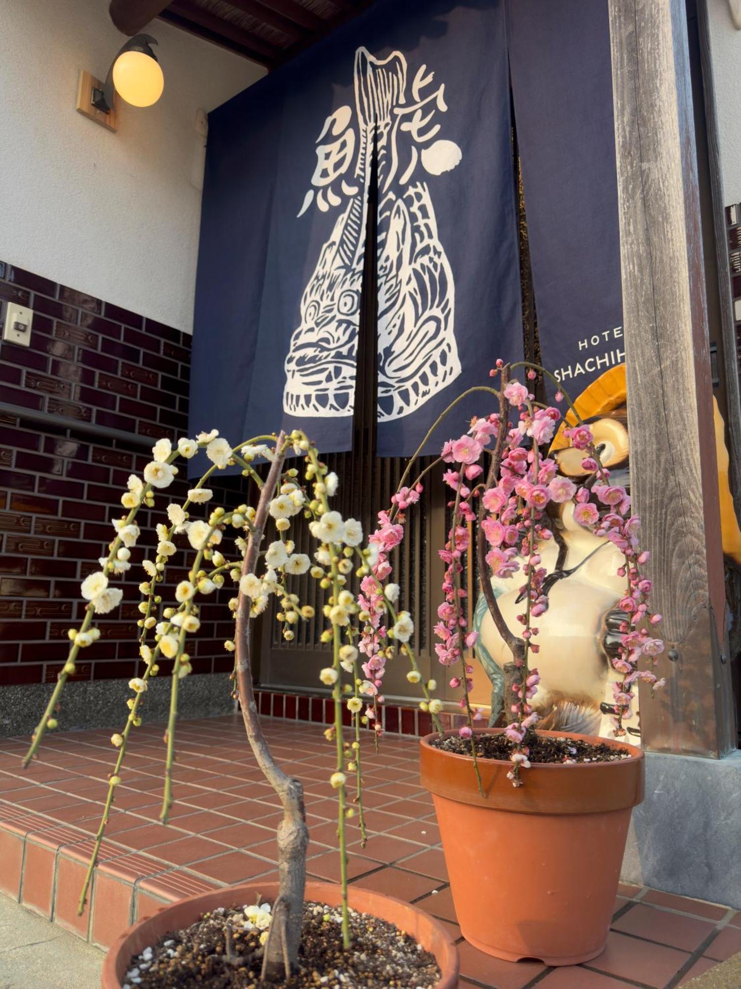 Shachihoko 海辺の一棟貸切ヴィラ しゃちほこ Imari Exteriör bild